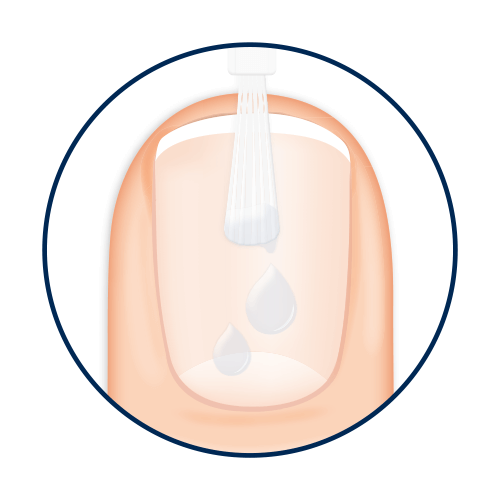 Hydrolack Formulierung