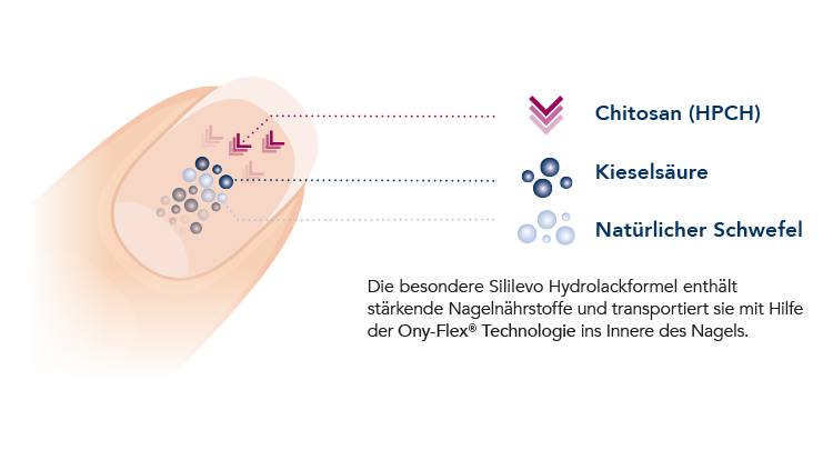 Besondere Hydrolackformel von Sililevo (Grafik)